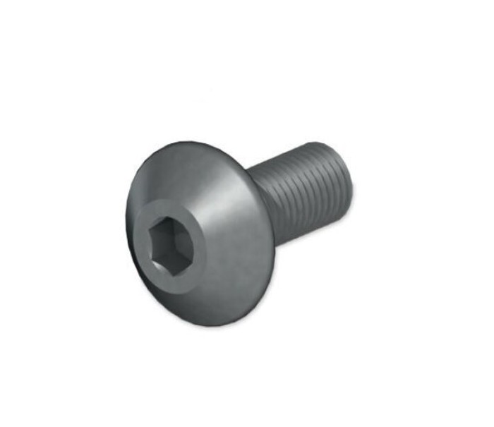 M8x1 TPKN 22 BASKI VİDASI ERİC