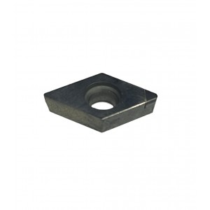 DCMT 070204 CBN ERİC
