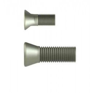 M4*10*5,8 TORX VİDA ERİC