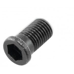 M6x0,75x4 BUKSE VİDA ERİC