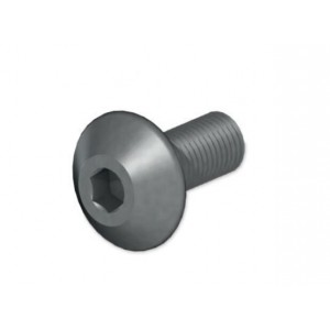 M8x1 TPKN 22 BASKI VİDASI ERİC